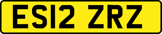 ES12ZRZ