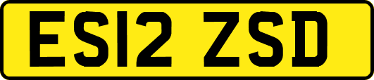 ES12ZSD