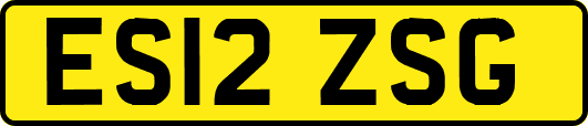 ES12ZSG