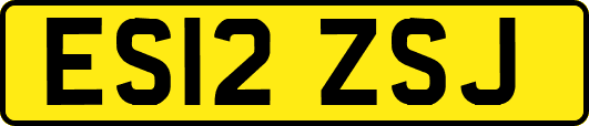 ES12ZSJ