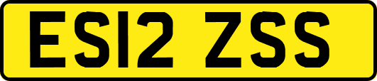 ES12ZSS