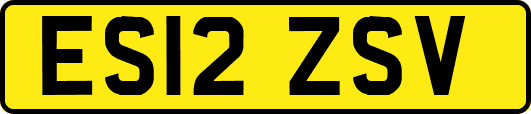 ES12ZSV