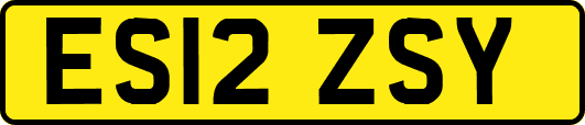 ES12ZSY