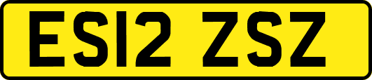 ES12ZSZ