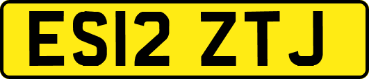 ES12ZTJ