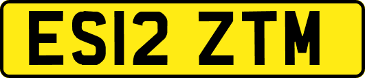 ES12ZTM