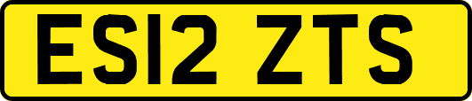 ES12ZTS