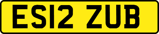 ES12ZUB