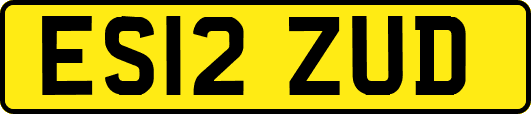 ES12ZUD