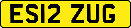 ES12ZUG
