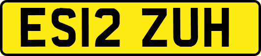 ES12ZUH
