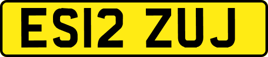 ES12ZUJ