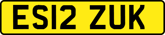 ES12ZUK