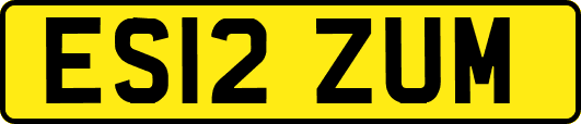 ES12ZUM