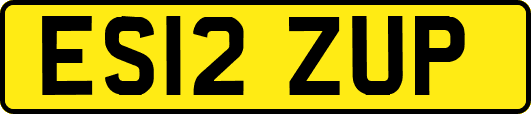 ES12ZUP