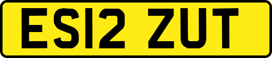 ES12ZUT