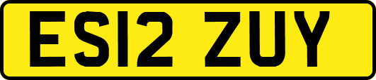 ES12ZUY