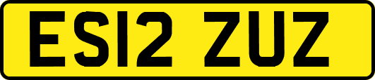 ES12ZUZ