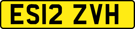 ES12ZVH