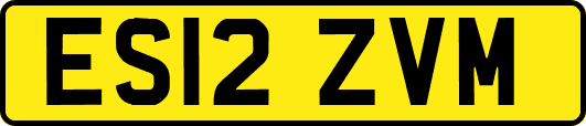 ES12ZVM