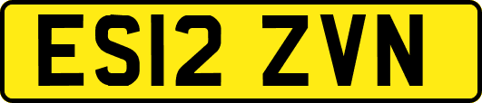 ES12ZVN