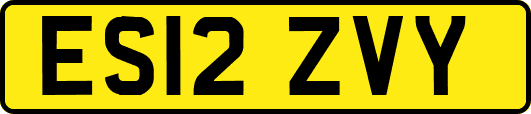 ES12ZVY