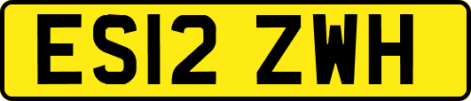 ES12ZWH