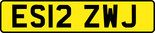 ES12ZWJ