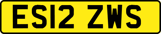ES12ZWS