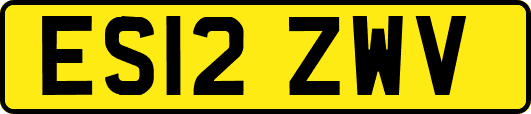 ES12ZWV