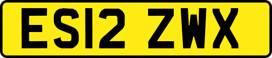 ES12ZWX