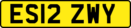 ES12ZWY