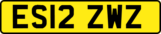 ES12ZWZ