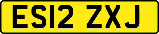 ES12ZXJ
