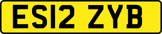 ES12ZYB