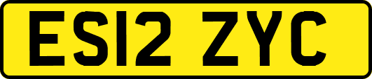 ES12ZYC