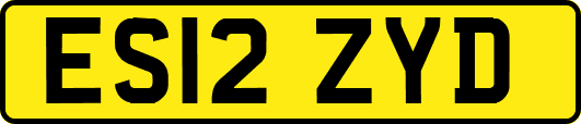ES12ZYD