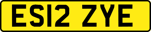 ES12ZYE
