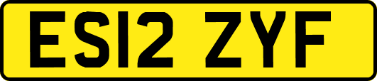 ES12ZYF