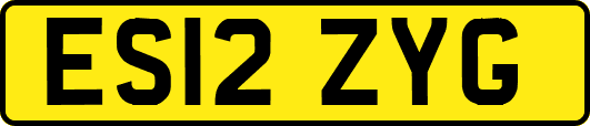 ES12ZYG