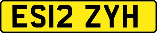 ES12ZYH