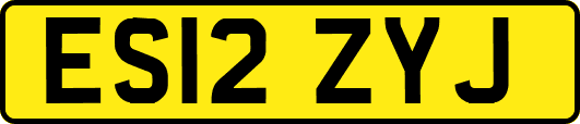 ES12ZYJ