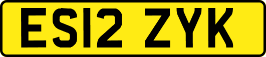 ES12ZYK