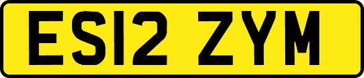 ES12ZYM