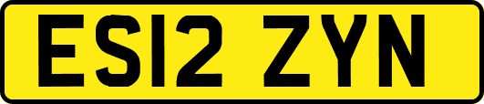 ES12ZYN