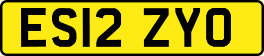 ES12ZYO