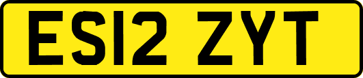 ES12ZYT