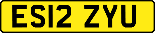 ES12ZYU