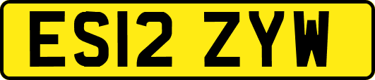 ES12ZYW