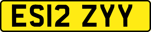 ES12ZYY